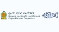 CFC to Expand Urban Outle